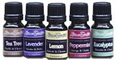 Essential Oils-Basic Set